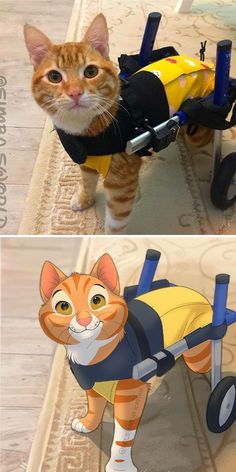 an orange and white cat wearing a yellow shirt standing next to a cartoon character in a wheelchair