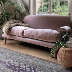 a pink couch sitting in front of a window next to a rug and potted plants