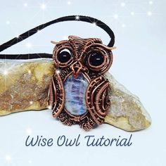 an owl is sitting on top of a rock with the words wise owl tutor written below it