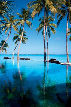 an empty swimming pool with lounge chairs and palm trees in the foreground, surrounded by clear blue water