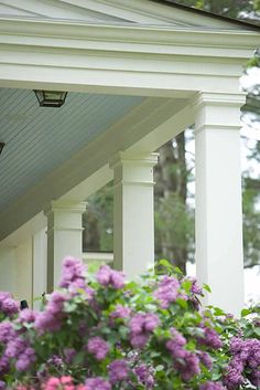 an instagram photo of purple flowers in front of a white house with porch and columns