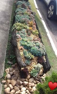 a long wooden bench covered in lots of succulents next to a road