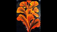 an orange flower is in the middle of a black background