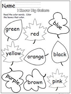 an image of color words worksheet