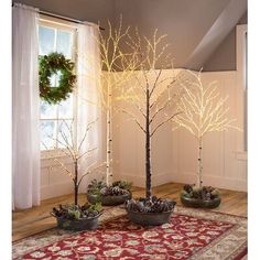 three small trees with white lights on them in front of a christmas wreath and window