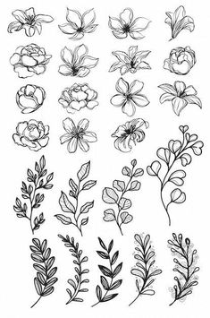 flowers and leaves are drawn in black ink on a white background, each with different colors