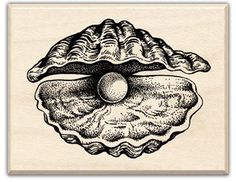 a drawing of an oyster on a piece of paper