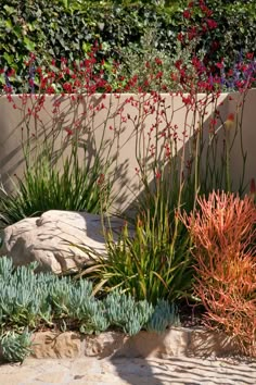 an outdoor garden with plants and rocks