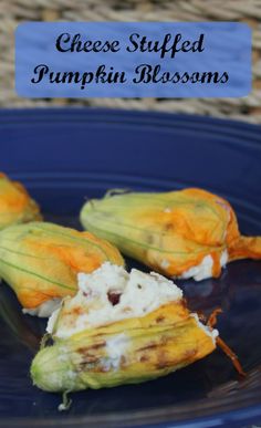 stuffed pumpkin blossoms on a blue plate with text overlay that reads cheese stuffed pumpkin blossoms