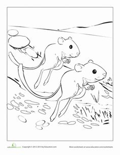 an animal coloring page with two animals in the water and one is holding onto another animal's tail