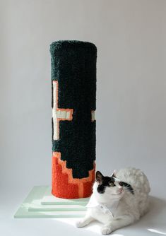 a black and white cat sitting next to a tall object