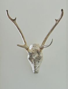 a deer's head mounted on the wall with no one in it or someone else