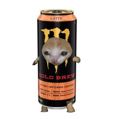 Sad cat in a can, monster, gold brew, latte, coffee Infused Coffee, Candle Scents, Coffee Roasting, Scented Candles, Scents