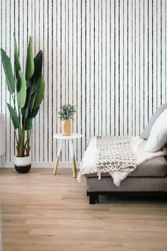 a living room with a couch, coffee table and potted plant