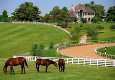 Kentucky Horse Farms, Future Farms, Farm Tour, Lexington Kentucky, Have Inspiration, Horse Ranch, Horse Stables