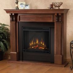 a living room with a fire place and potted plant on the side table next to it