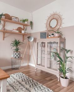 a living room filled with furniture and plants on top of wooden shelves next to a white rug