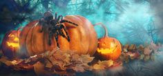 halloween pumpkins with jack - o'- lanterns and spider on them in the woods