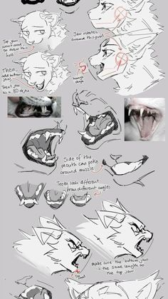 some drawings of different types of animals with their mouths open and eyes closed, including the mouth