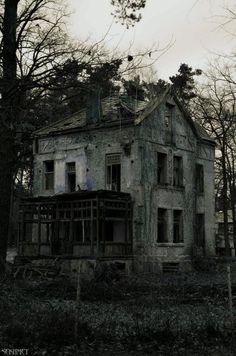 an old abandoned house in the woods