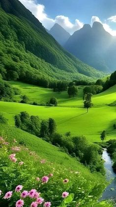 a green valley with mountains and flowers in the foreground, and a river running through it