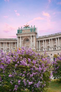 purple flowers are growing in front of a large building with columns and pillars on the roof