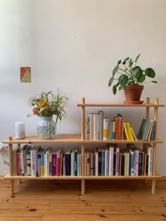 a bookshelf filled with lots of books next to a potted plant