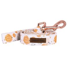 a white leash with oranges on it and a gold metal hook attached to the collar