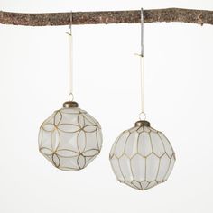 two glass ornaments hanging from a tree branch