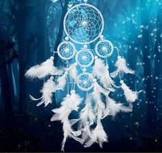 a blue and white dream catcher in the woods