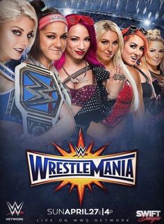 the wwe women's wrestling team is shown in this poster