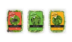 three packages of green leafy vegetables are shown in this image, and the packaging is empty