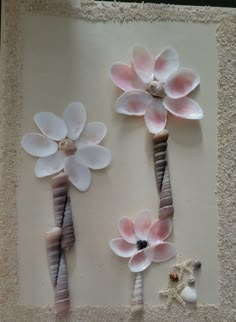 three flowers made out of seashells and shells