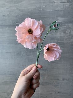 a person holding two pink flowers in their hand