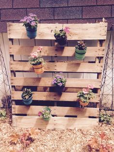 a wooden pallet filled with potted plants