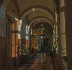 an arched hallway with potted plants on either side