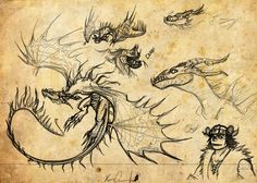 an old paper with sketches of dragon heads and faces on it, including one head in the middle