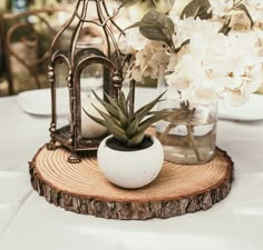 there is a small plant in a white vase on a wood slice with flowers behind it