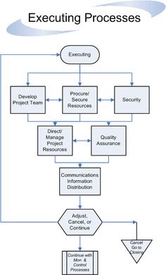 the process diagram for executing processes