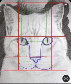 a drawing of a cat's face is shown with the lines drawn across it