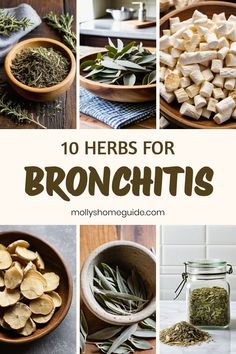 the top ten herbs for bronchtis