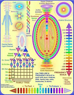 Types Of Energy, Karma Yoga, Energy Medicine, Aura Colors, Les Chakras, Chakra Meditation, Pranayama, The Human Body