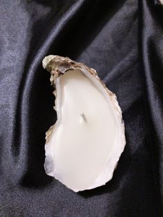 an oyster shell with a candle inside on a black cloth background, close up view