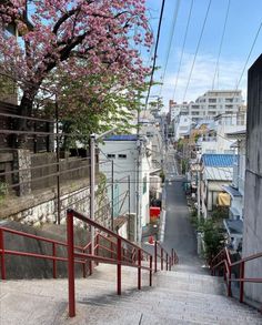 the stairs lead down to an alley with cherry blossom trees in bloom