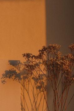 a vase filled with lots of flowers next to a wall