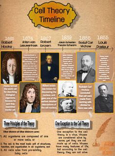 an old poster with many different people on it's sides and the words cell theory timeline