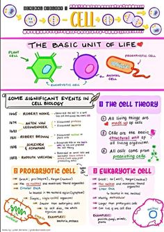 the basic unit of life poster is shown in two different colors and font, with an image