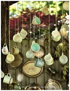 there are many cups hanging from the tree