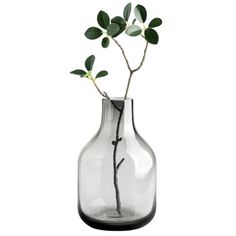 a glass vase with a branch in it on a white background and the bottom half is empty