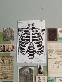 a wall covered with pictures and drawings of bones